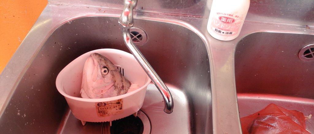 西武園で釣りしてきました!
捌き場に生首捨ててあって怖かった! 