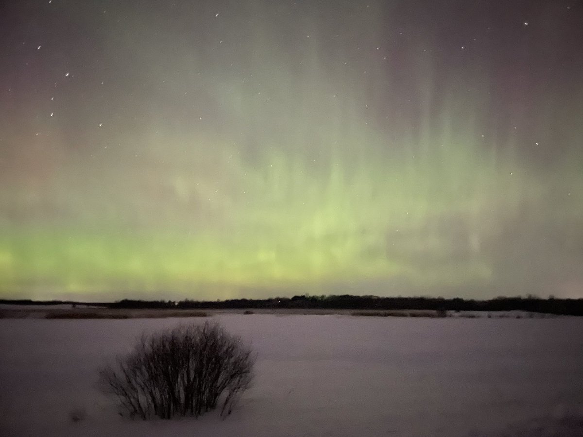 I moved to Minneapolis and some of my biggest life freaks are coming true. 1st was a white Christmas, tonight the sky danced and I got to see it! The first picture was lights visible to the naked eye and with my camera not in night mode. Oh my God, I can’t believe my eyes.