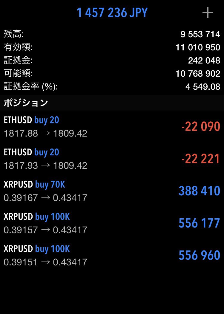 フラミンゴ tweet media