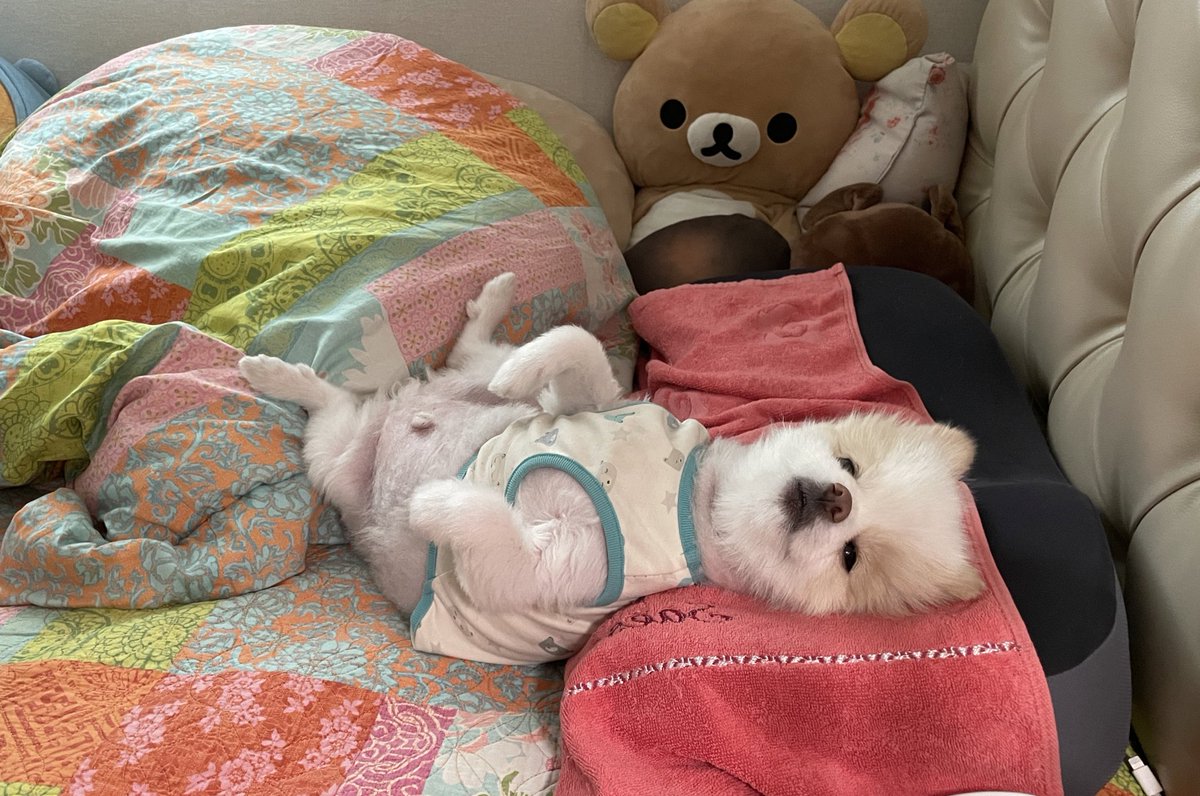 mungcchimom's tweet photo. 그.. 너가 좋으면 됐다^-^.. https://t.co/AxgDwmjrTB