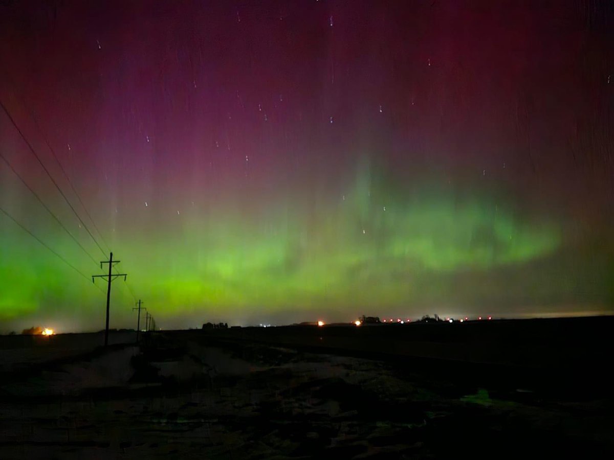 James Wilcox tweet media