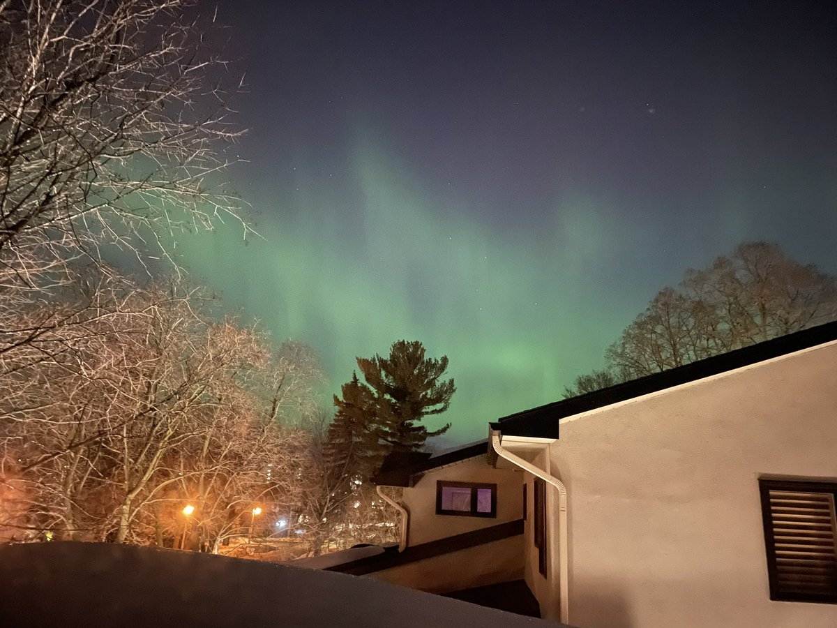 Stephanie Paravan tweet media