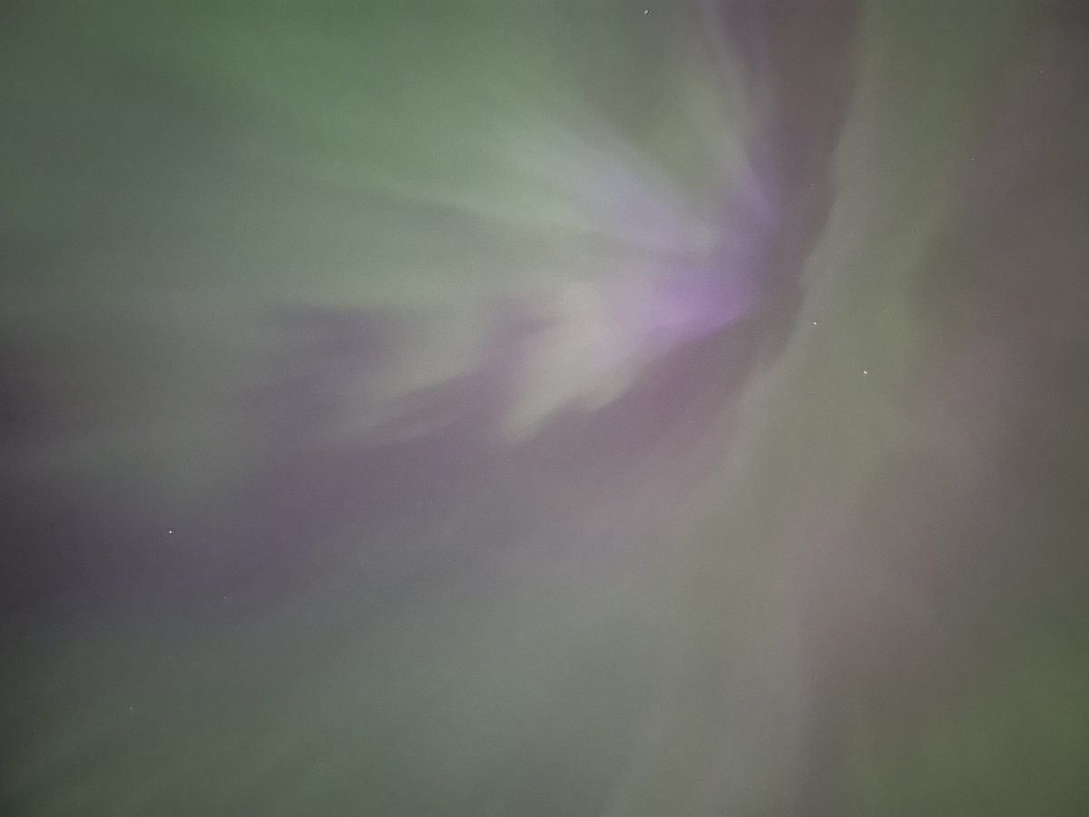 Wolfushusky's tweet photo. Aurora viewing in progress… https://t.co/tXHPv2Uv1F