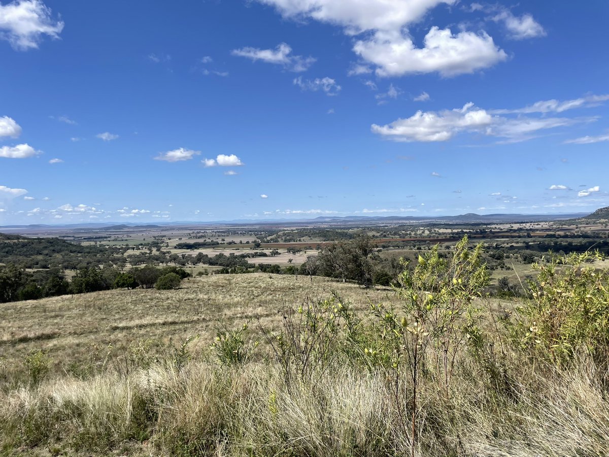 plk079's tweet image. People of the #liverpoolplains please vote wisely tomorrow to keeps our food bowl free of mining and gas #nswpol