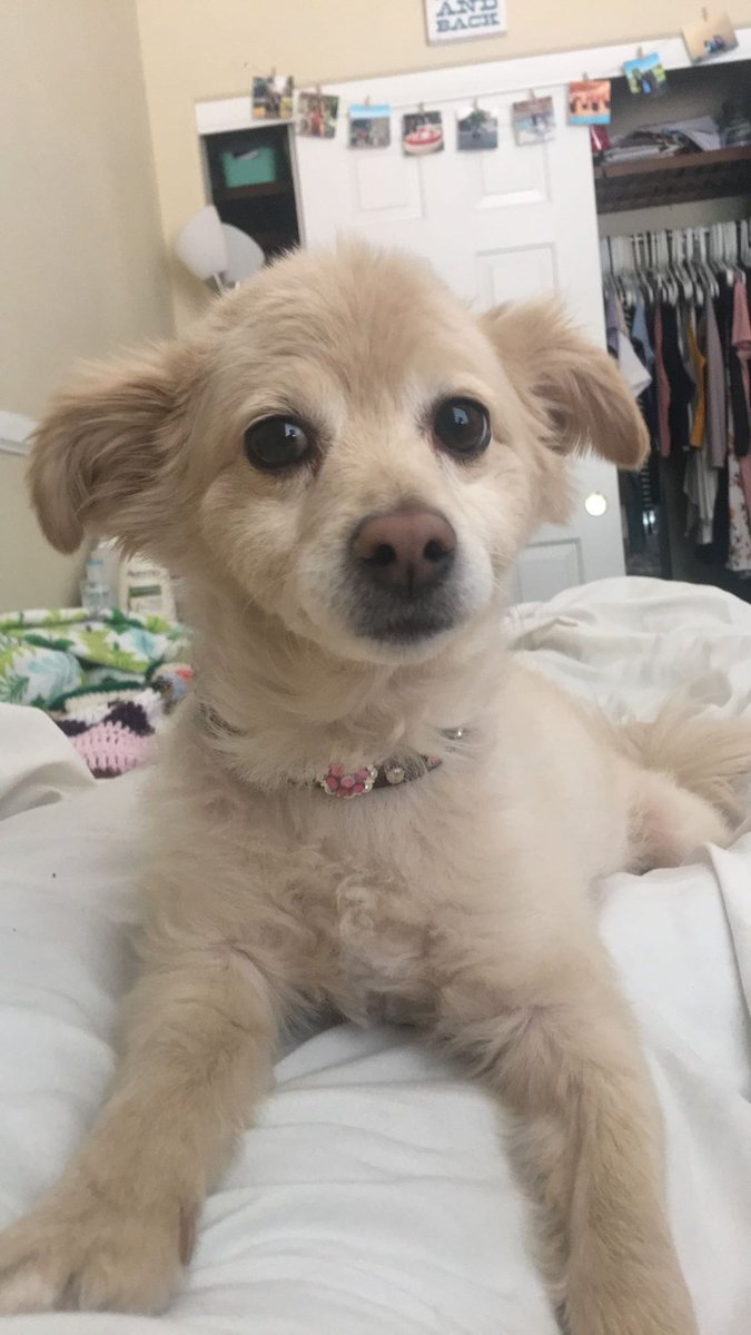 my <3