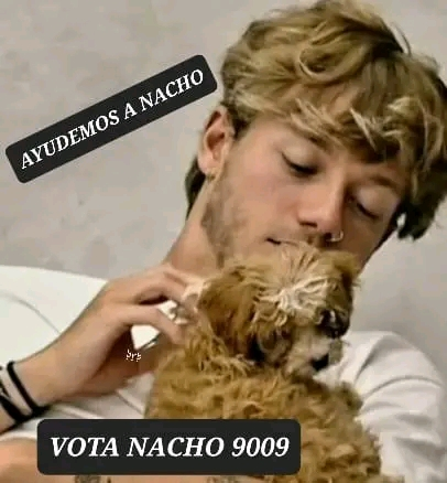 Russo_Wiz's tweet photo. #NachoAl9009 #NachoALaFinal #GH22 #GH23 #GranHermano2022 #GranHermano #GH #GranHermanoArgentina2023 #granhermano2023 #granhermano23 #NachoCampeon #Nachito https://t.co/P0UcPdlSmk