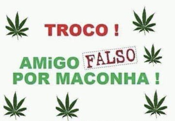 canabisbrasil's tweet photo. Troco fácil fácil 🤣🤣🤣 https://t.co/lpEP8LHqfi