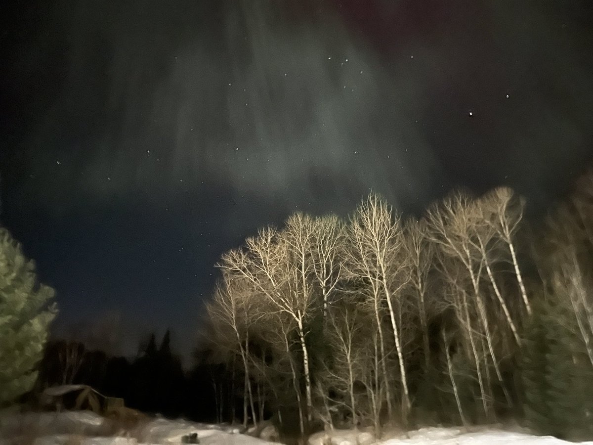 _SarahCooke's tweet photo. Don’t forget to look up. #BurksFalls #AlmaguinHighlands https://t.co/8ASDixi2Xc