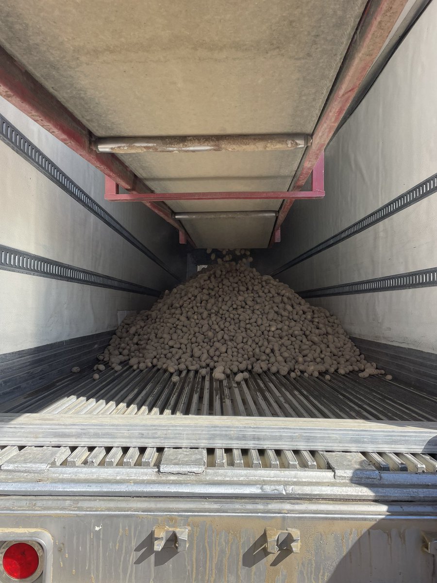 daanhalsema tweet media