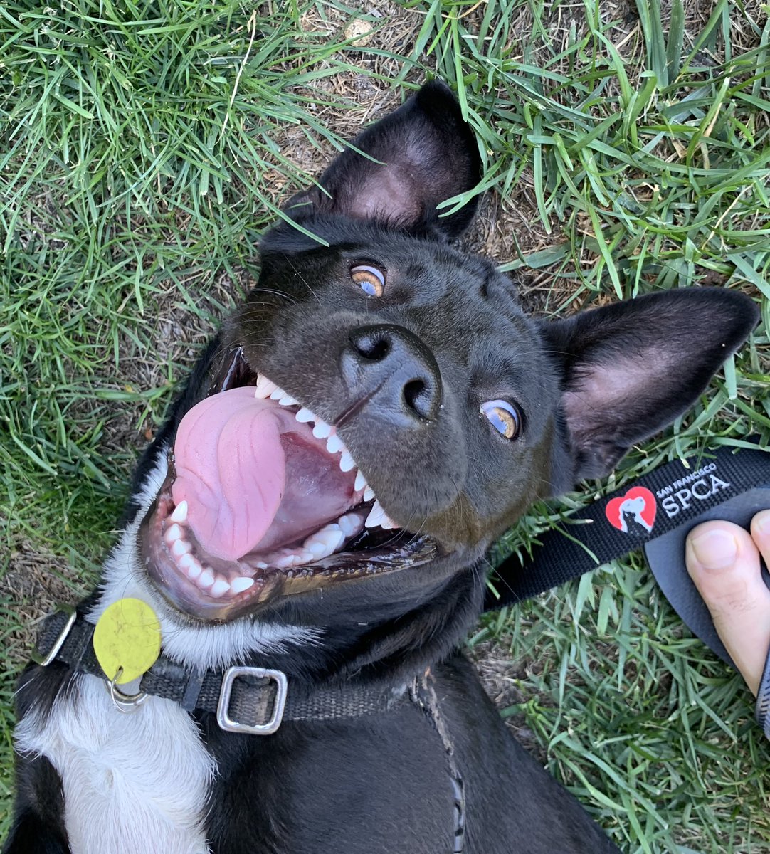 Mathieu Penot tweet media