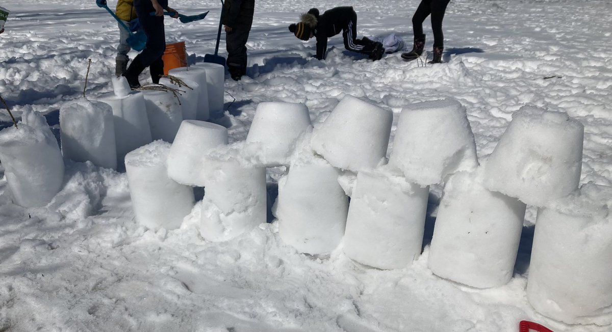 Lisa Bain tweet media