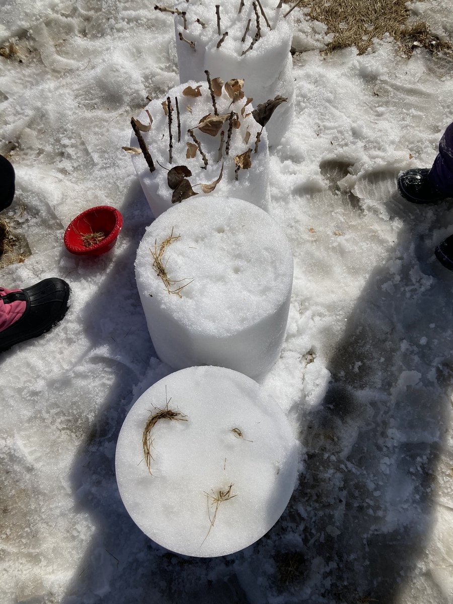 Lisa Bain tweet media