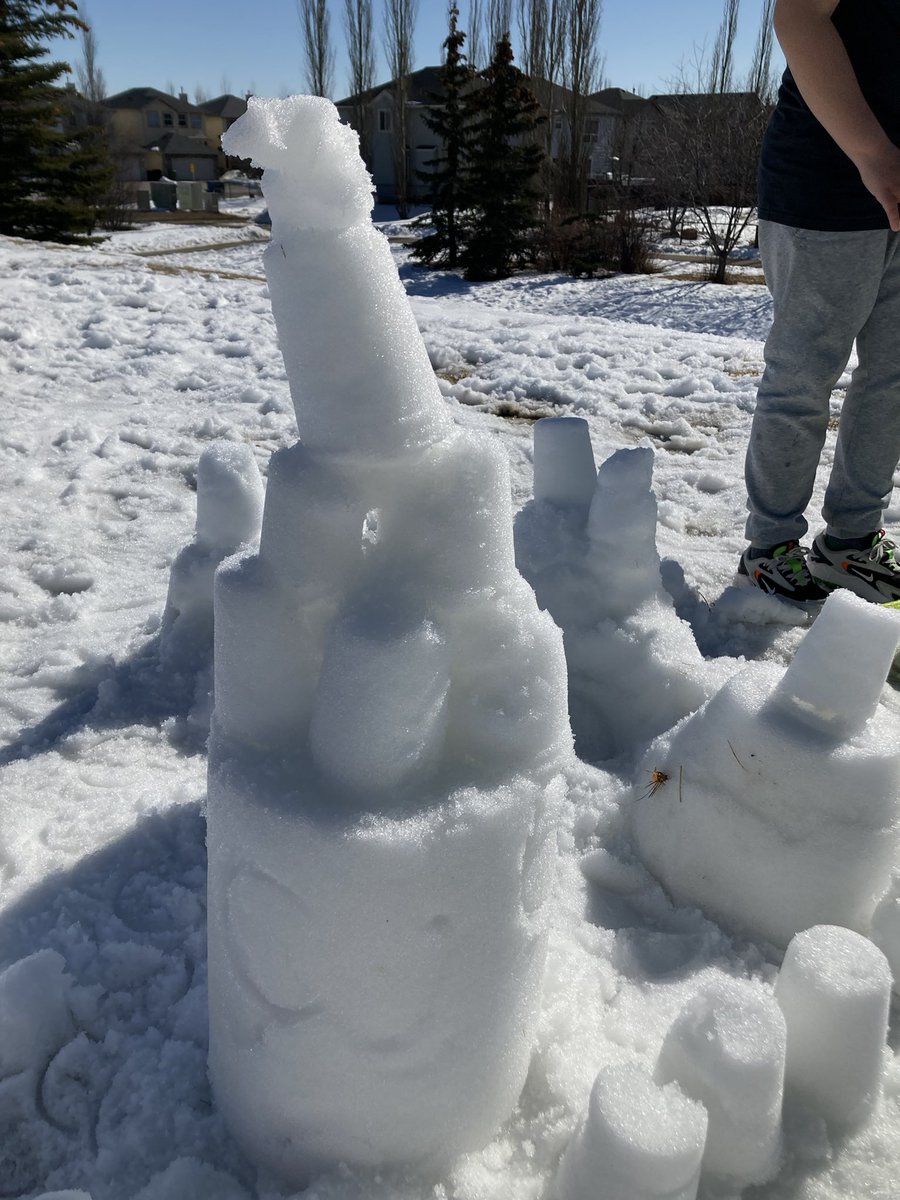 Lisa Bain tweet media