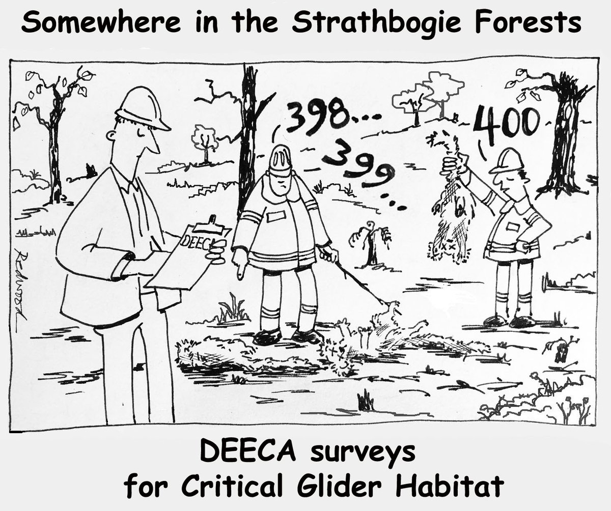 ourstrathforest's tweet photo. Like many arboreal mammals the Southern #GreaterGlider can't run or fly away from #plannedburns.
When habitat trees are destroyed, so are the gliders.
#strathbogieforest
@animaljusticeAU
@FFMVic
@FFMVic_Chief
@IngridStitt
@DEECA_Vic https://t.co/XUQqQe9gX5