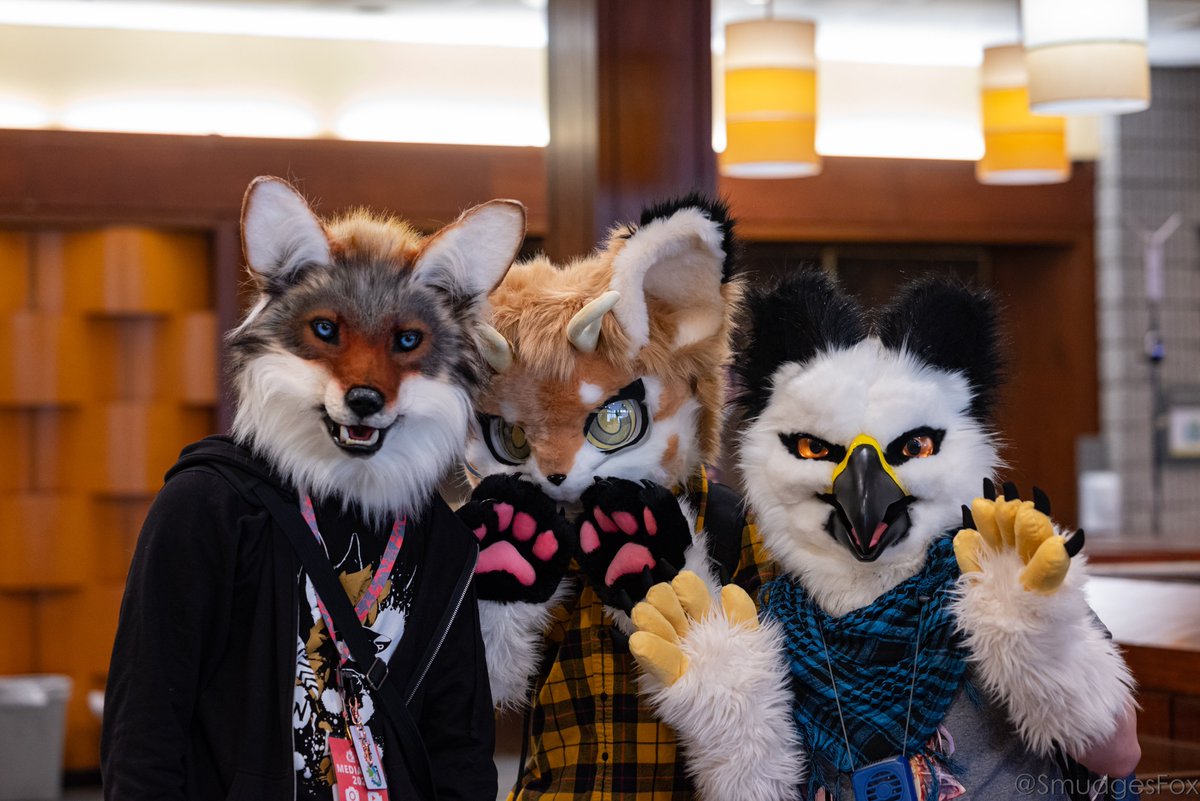 Smudges The Fox 🔜 AC tweet media