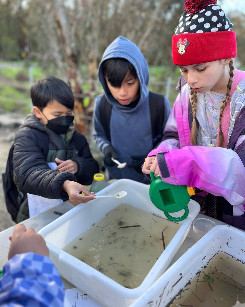 Napa Junction tweet media