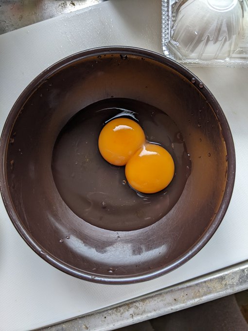 双子の卵、初めて見た🥹 