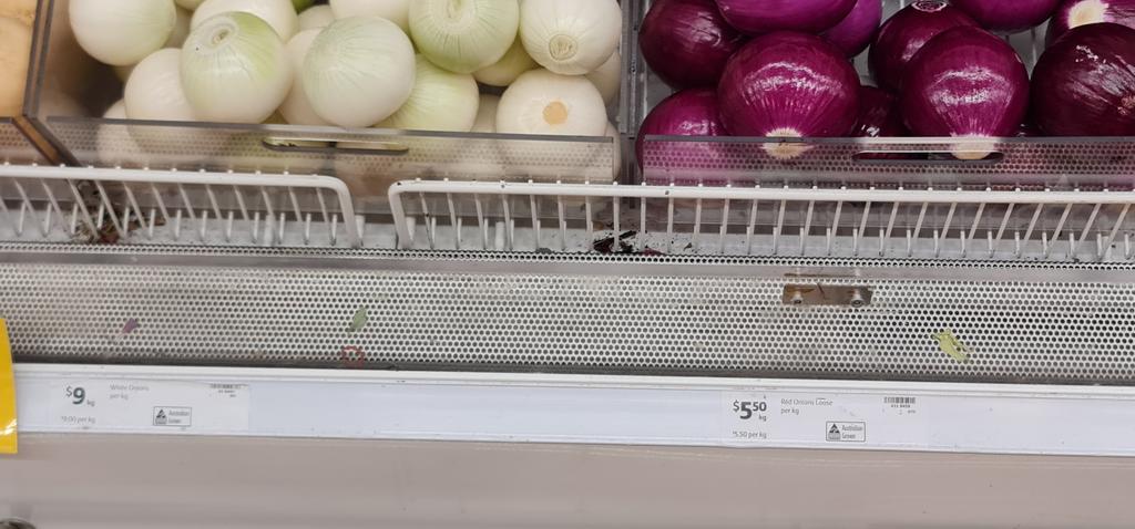 AUSTRALISFISHIN's tweet photo. Another reason to grow #fruit and #vegetables in your #HomeGarden
$9 a kg for white onions and $5.50 a kg for red onions
In #Spring we'll be growing #eggplant #capsicum and #hotchillies for our #gourmet cooking on our #Livestream
#YouTube #youtuber #twitch #irl #green thumb https://t.co/VLKnXOVKH8