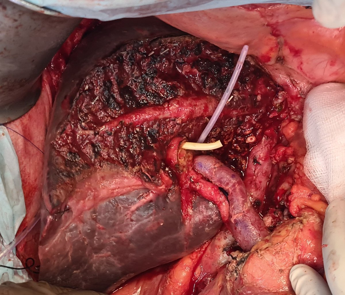 Sadiq Sikora tweet media