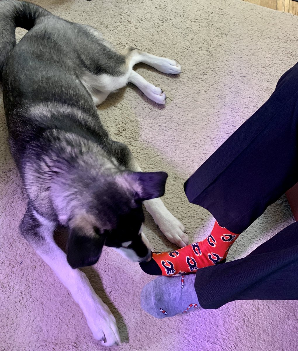 Rick Tulsie tweet media