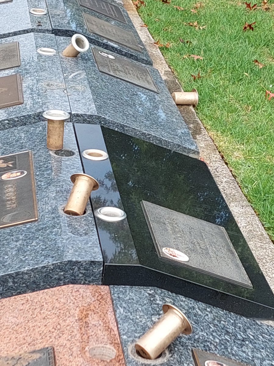 DeniseBeale's tweet image. At the cemetery today &amp;amp; watched corellas pull the aluminium flower vases from the top of the headstones, scattering them one by one #corellasplaying #springvale