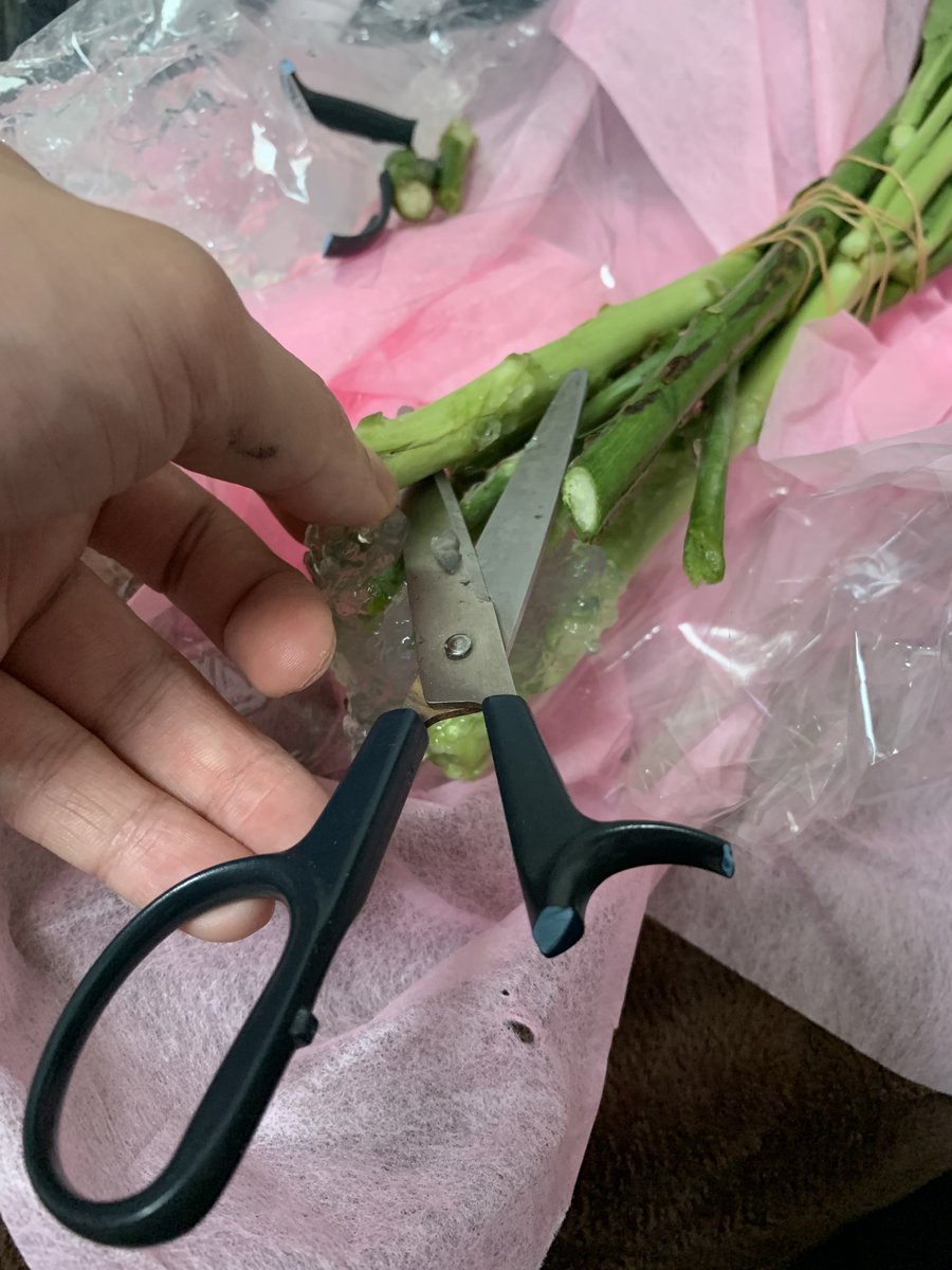 花束、調べたら「揚げ水」なる工程が大事なので、
家にあるもの(ザリガニ撮りしたときに友達がくれた魚ケースと文具ハサミ)でやってみた

多分できた https://t.co/NztR7LQ0Aj