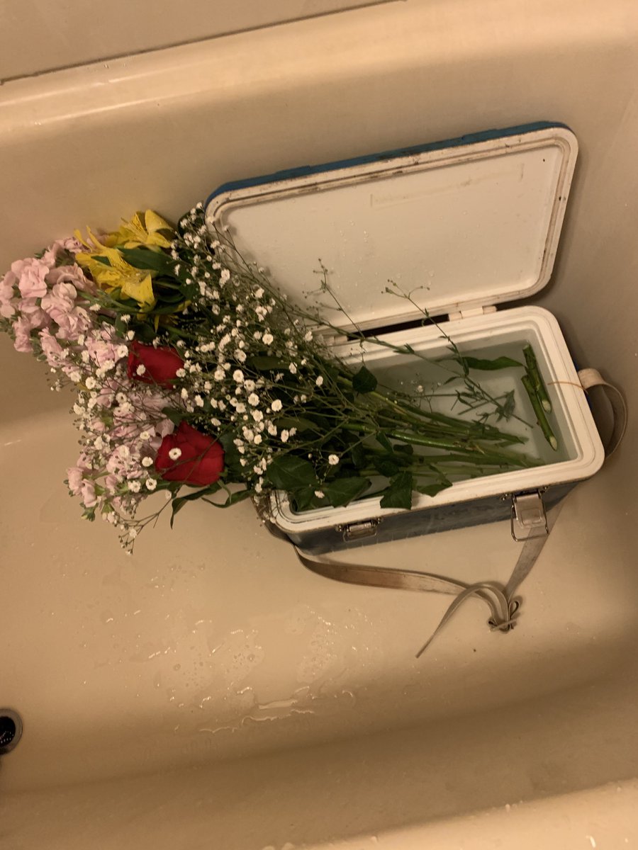 花束、調べたら「揚げ水」なる工程が大事なので、
家にあるもの(ザリガニ撮りしたときに友達がくれた魚ケースと文具ハサミ)でやってみた

多分できた https://t.co/NztR7LQ0Aj