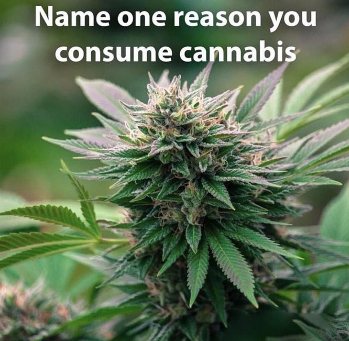 Name 1 reason to consume cannabis?  #MMJ #Marijuana