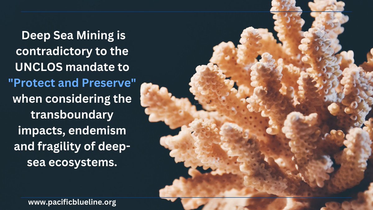 pacblueline's tweet photo. The @ISBAHQ must protect and preserve the marine environment.
Join the call and sign the petition calling for a ban: https://t.co/pVy9dkar9d
#BanDSM #BanToProtect #ISA28 #BanDeepSeaMining https://t.co/NkgPaaJhp4