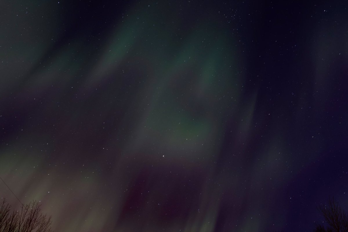holdenlawphoto's tweet photo. Northern Lights &amp; Stars 📸 https://t.co/0FEuhOP6BD