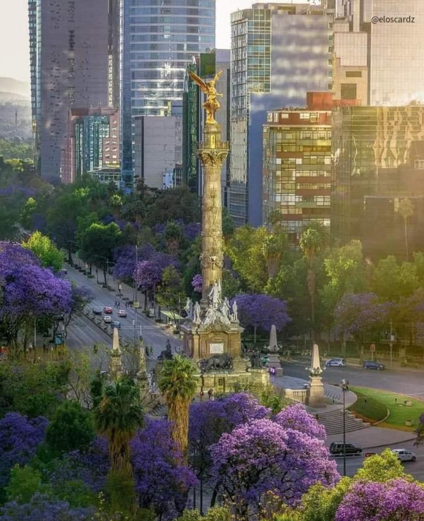 atilabarcenad's tweet photo. @warkentin @asilascosasw 
Un gran regalo!!! https://t.co/fIatnJ4pYr