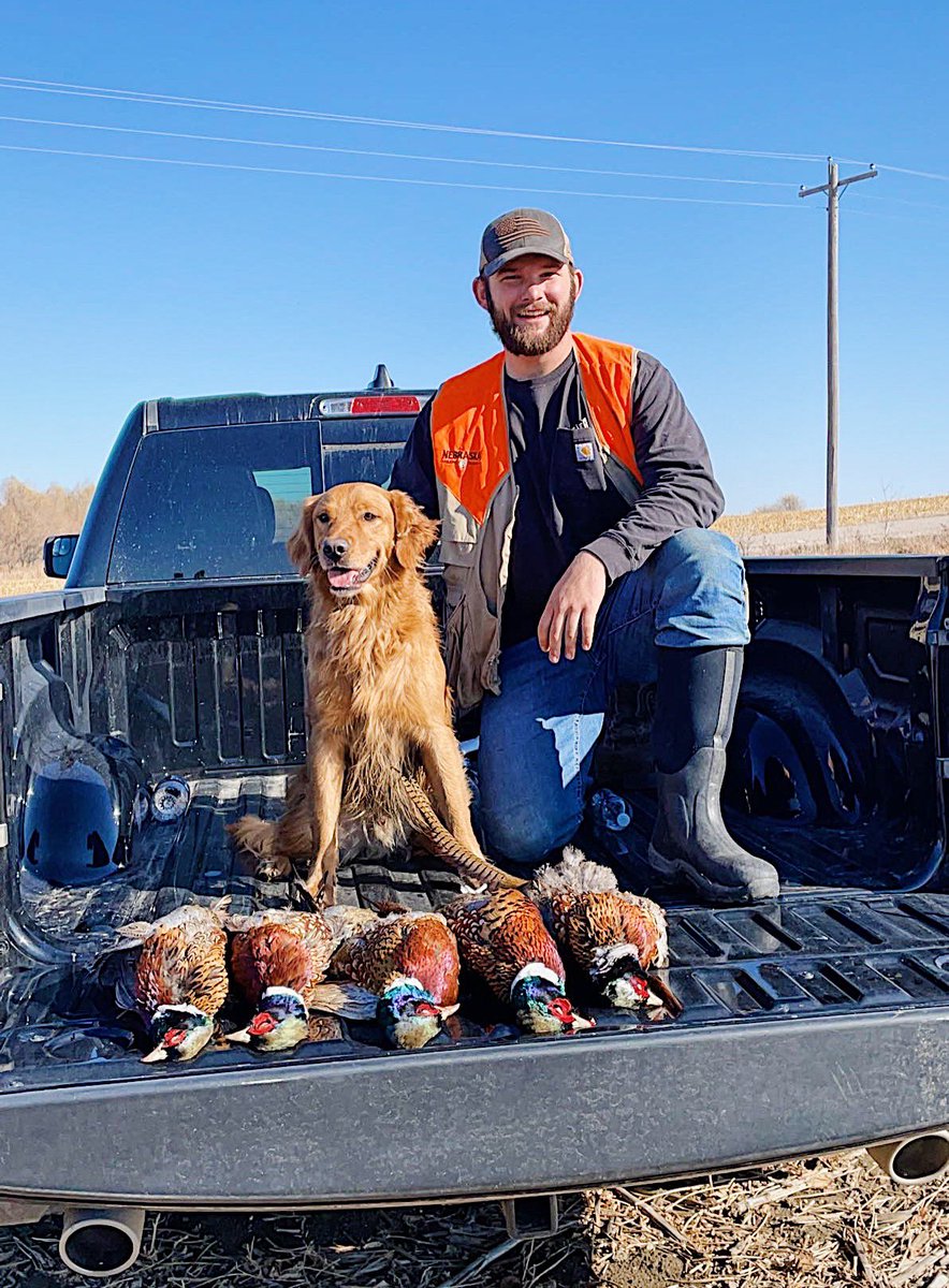 s_schweers58's tweet photo. Natty pup day https://t.co/VbeJTUaIu8
