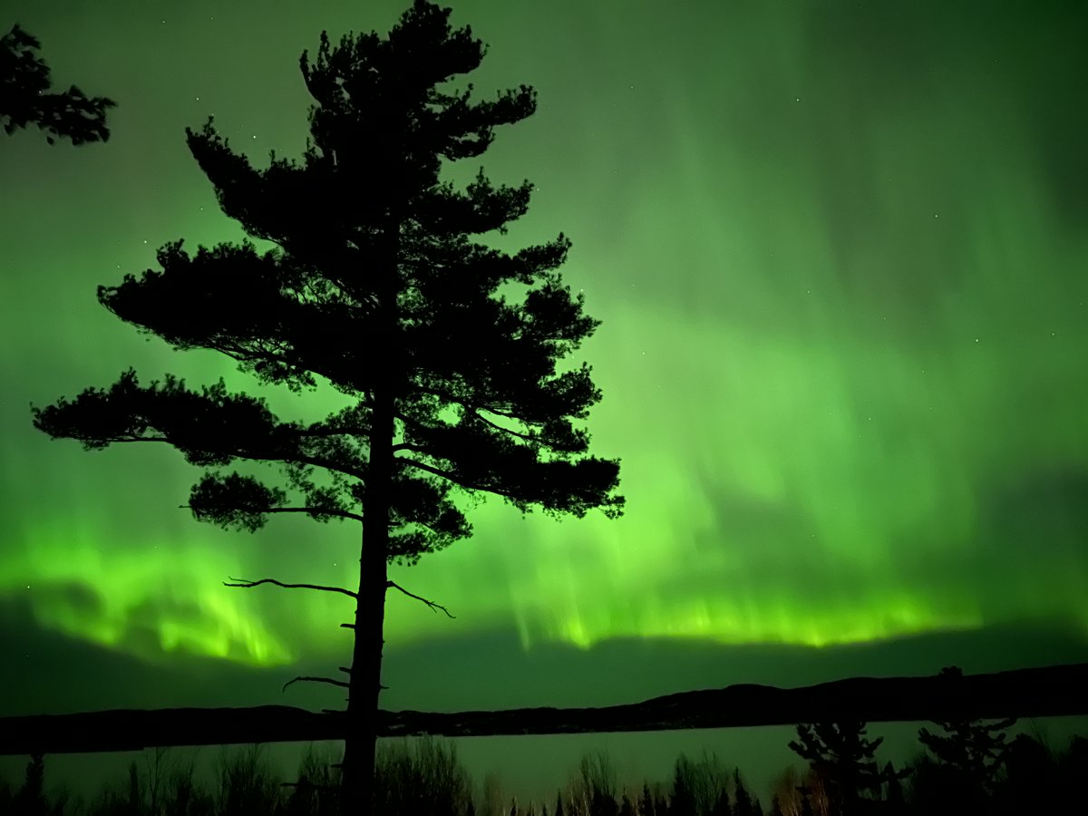 GALLERY: Many WCCO viewers shared stunning photos of Thursday night's Northern Lights, which could be seen practically across the entire state of Minnesota! | cbsn.ws/3FMGaTN