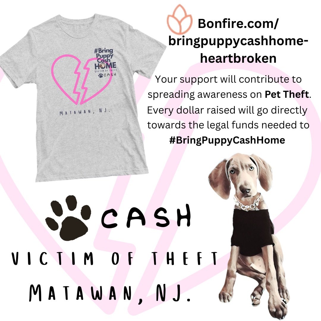 See how you can help #BringPuppyCashHome #heartbroken #tshirtdesign #fundraiser #PetTheftAwarenessWeek #pettheft #stolendog #dogtheft #weimaraner #nationalpuppyday #DogsofTwittter  bonfire.com/bringpuppycash…