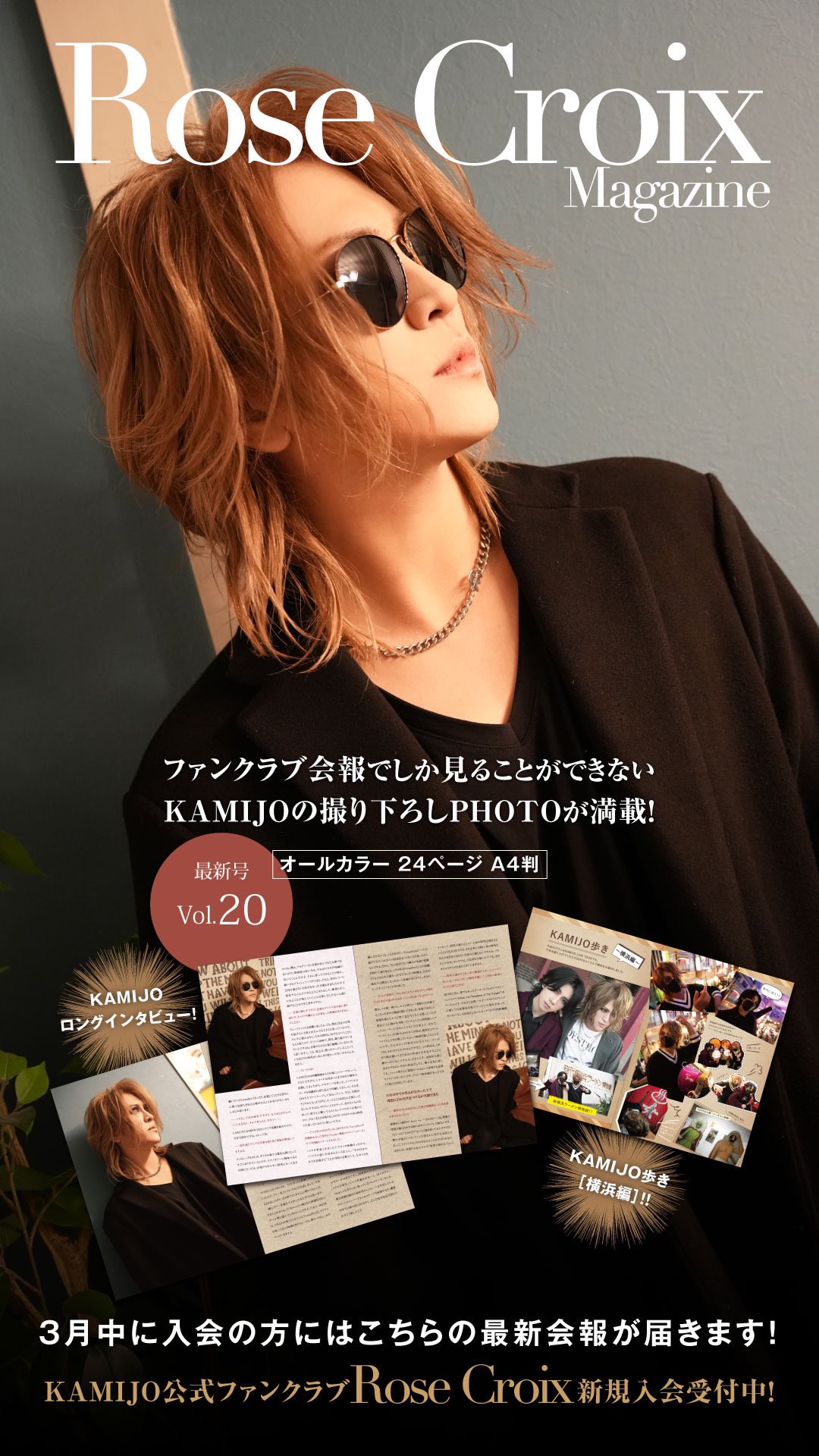 本物の 🇯🇵🇫🇷Versailles KAMIJO on X:  ミュージシャン