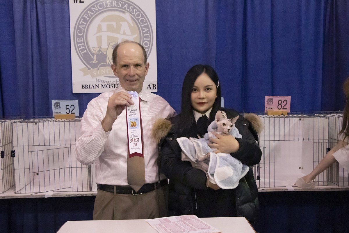 MissMermaid_Cat's tweet photo. CFA cat show | OR Eugene Mar.18-19,2023
Dada won himself an unlimited supply of canned cat food this time (I rewarded it,lol).😘
#cfacatshow #sphynx #missmermaid https://t.co/NTgxy6ln2Y