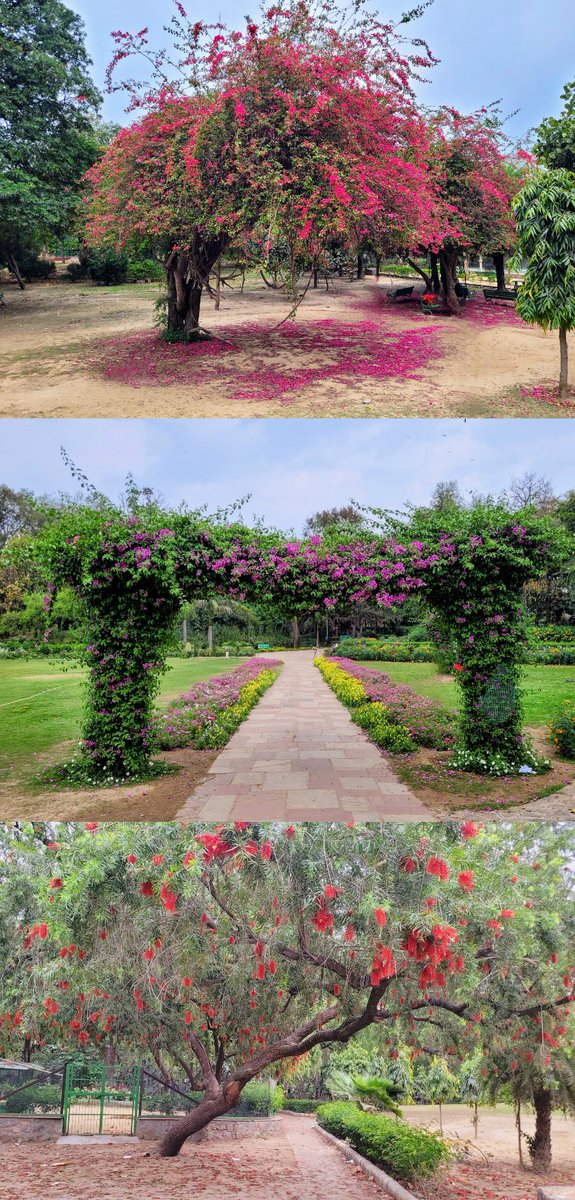 siddharthhetfy's tweet photo. Bloom 
💐🌷🌸🌹🌺🌻🌼🏵️🥀🪷🪻🎍

#photography #Flowers #Samsung #nature #NaturePhotography #natgeoindia 

@SamsungIndia @SamsungMobile @NatGeoIndia https://t.co/OCJ8ZTkTnY