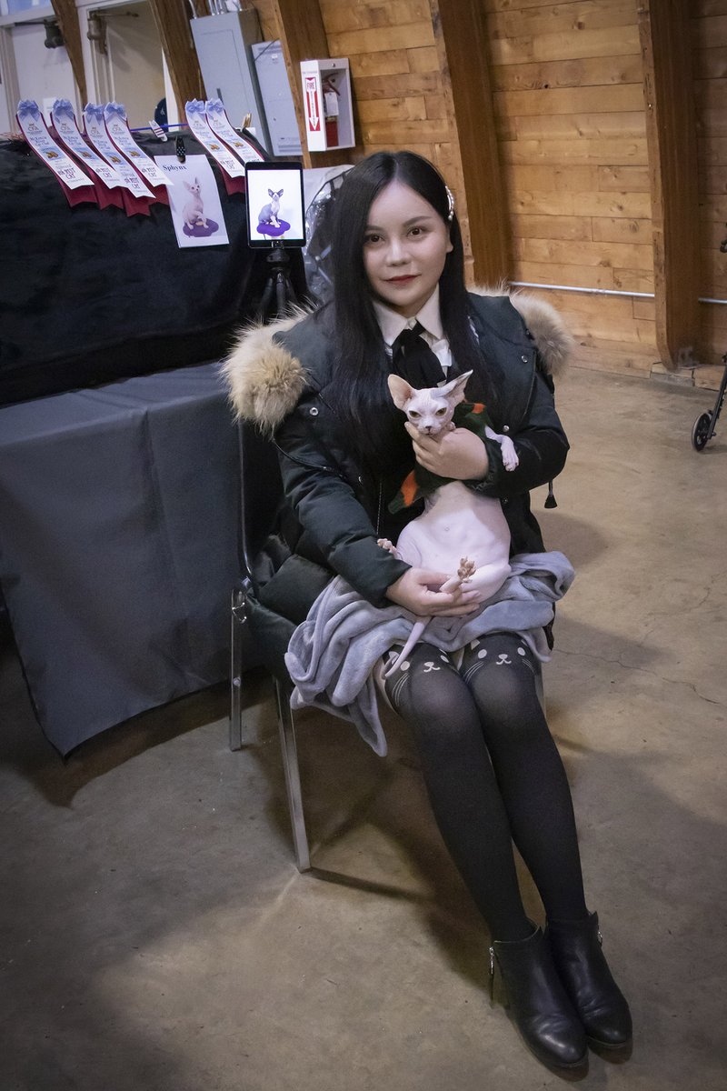 MissMermaid_Cat's tweet photo. Thanks to my friend Brian for answering some questions for us, by the way his red shoes are very shiny~
Thanks to the judge, Mr. Brian Moser, who carefully helped me stand firm.
Thank you McKenzie River CC Club for all you do!
#missmermaid #sphynx #cfacatshow https://t.co/pmAjw8ABsY