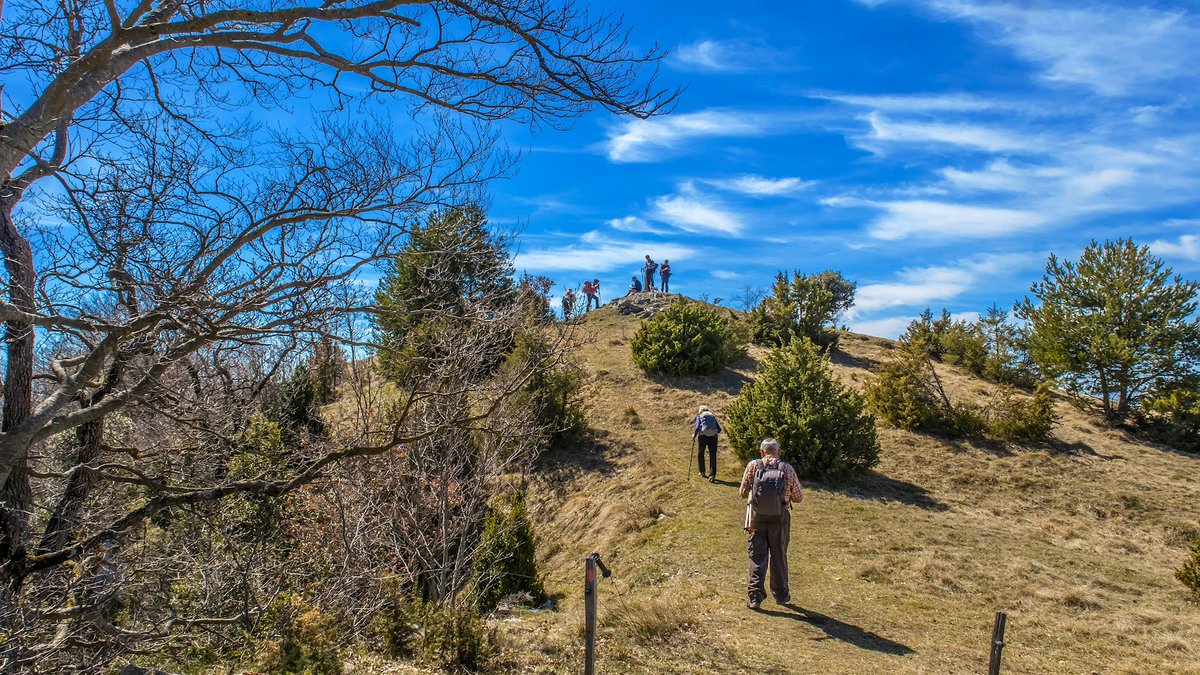 Magnífica excursió del cicle #SortidaDimecres al Puig d'Ou #Garrotxa #Ripollès #100cims #excursionisme (22-03-23)

📸📸📸📸👇👇👇👇
facebook.com/media/set/?van…