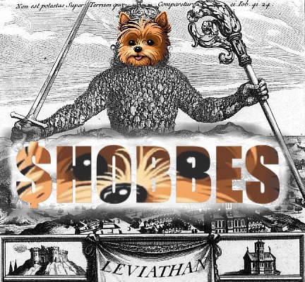 Hobbes_ETH's tweet photo. Together we form a leviathan. Each holder builds a link in the mail.  We hodl to protect ourselves from the evils of bank runs, hyper-inflation, and insider training. The exchange of debt stops with #hobbes! https://t.co/eExuOlAdK8