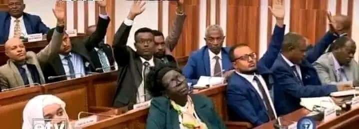 Medhny7's tweet photo. የሻዕብያ ተወከልቲ ፖርላማ በኢትዮጵያ☝😂 https://t.co/8ouKIlc2ti