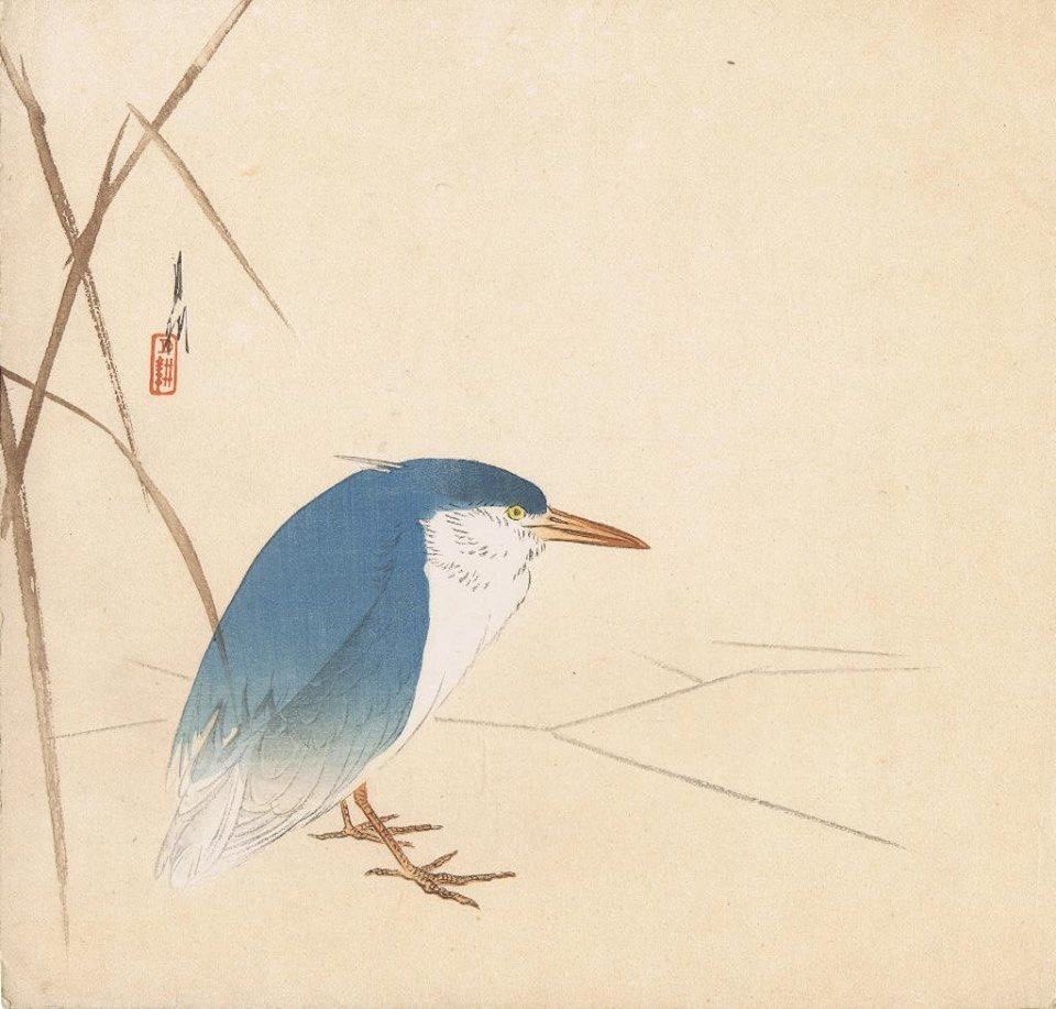 Pysähtyessä
Näkee ja kuulee
Kaiken

#haiku 🙏💙