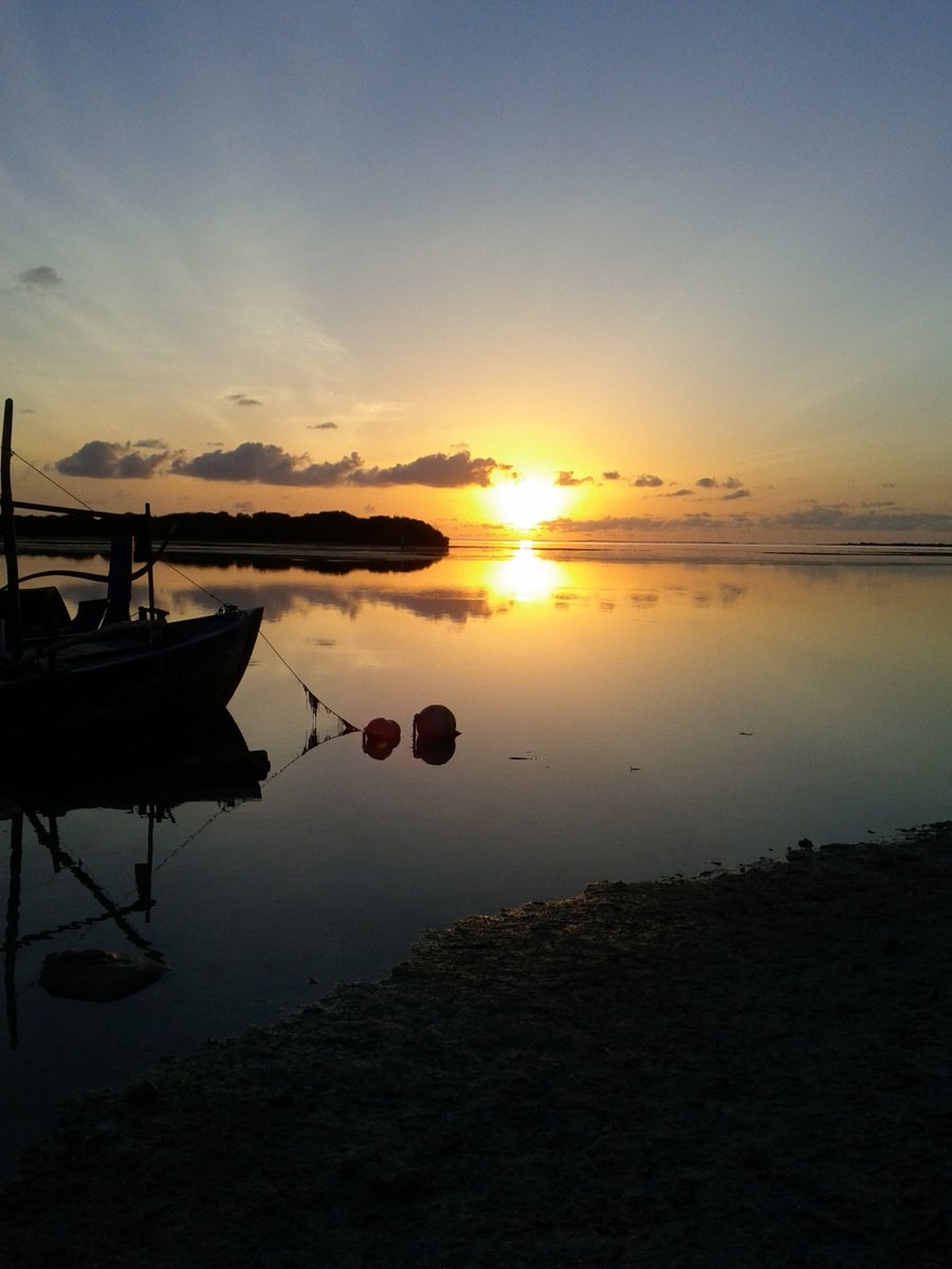 hussaindidi's tweet image. #NexusS 2012