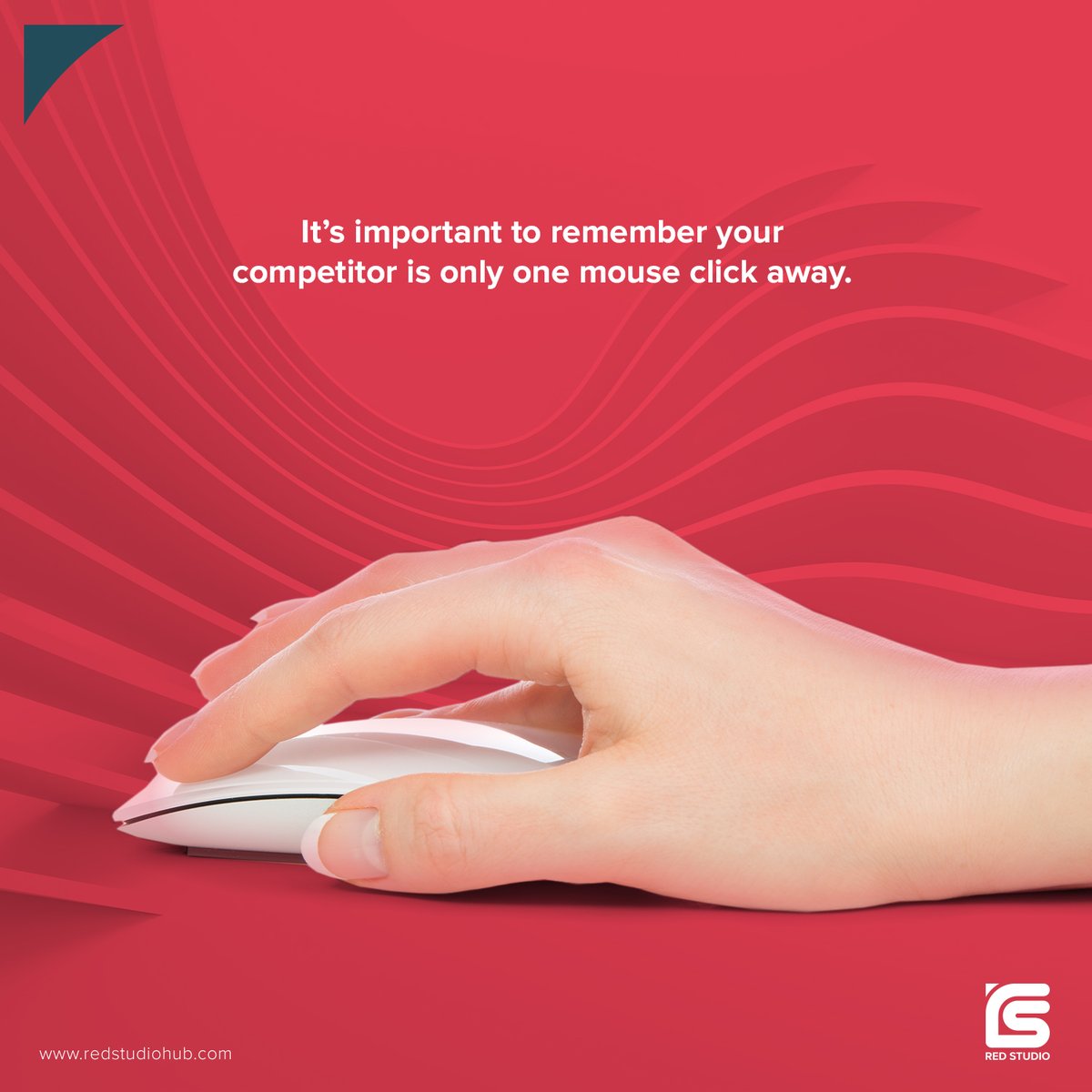 redstudiohubb's tweet image. If social media made marketing easy for you, so as for your competitors, so take that extra move to edge up and create a loyalty program. #edgeup #taketherisk  #loyaltyprogram  #digitalmarketing #digitalmarketingtools #digitalmarketingexpert #redstudiohubb💸🖱