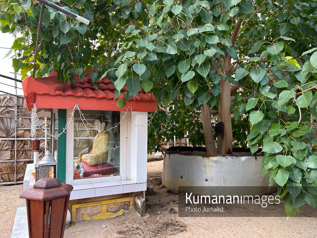 kumanan93's tweet photo. Member of Parliament Charles Nirmalanathan speeched in Parliament yesterday(23) that boo trees have been planted and Buddha statues have been placed in #Kachchathivu island . Following this, some local newspapers have also exposed this #Buddhistization issue today. https://t.co/rg7jY77Rqd