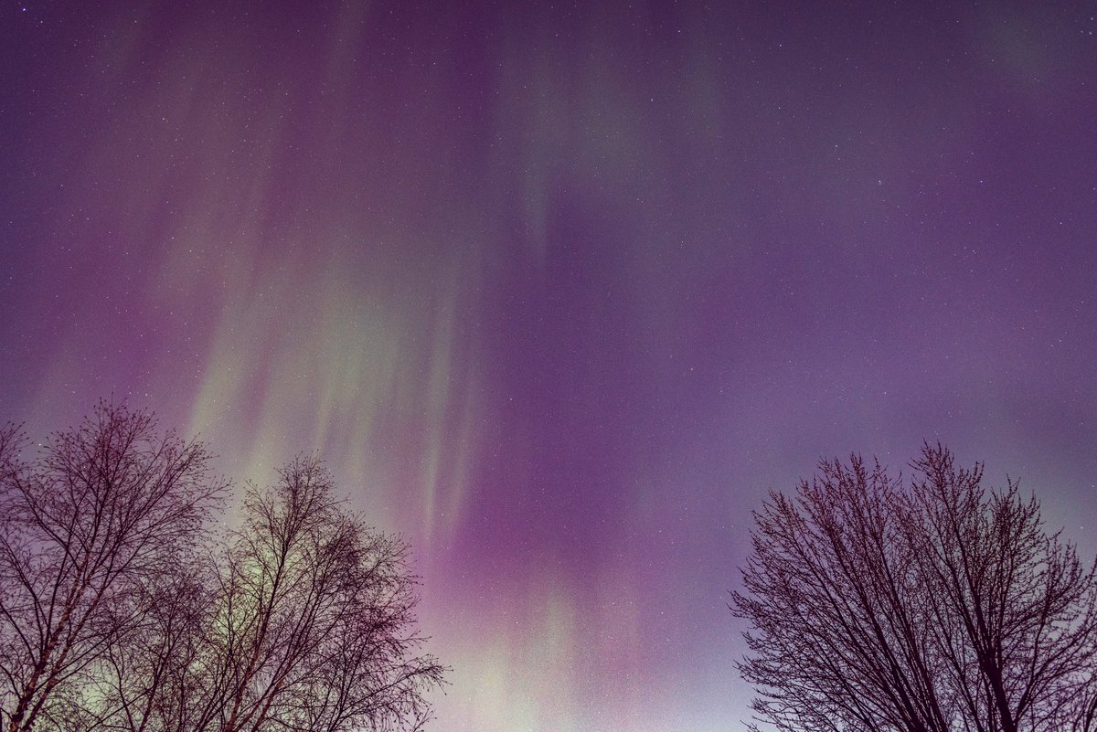 mrscienceman's tweet photo. Aurora from my deck in Shakopee, MN even with all@of the city lights to the north!?! @NWSTwinCities @WCCOShaffer @MPRweather https://t.co/HlFwyl7FAT