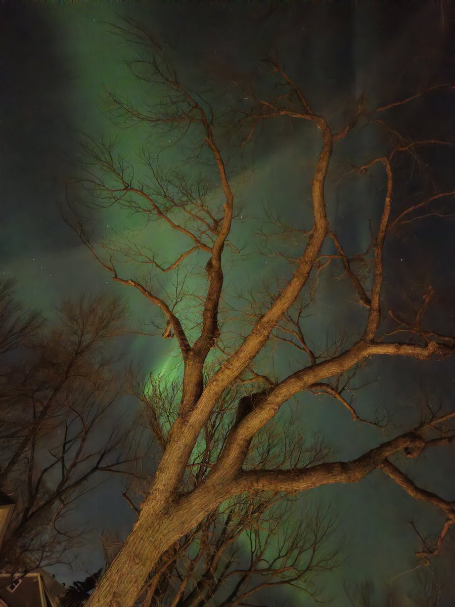 Northern Lights in #Nutana #Saskatoon #BroadwayArea #YXE