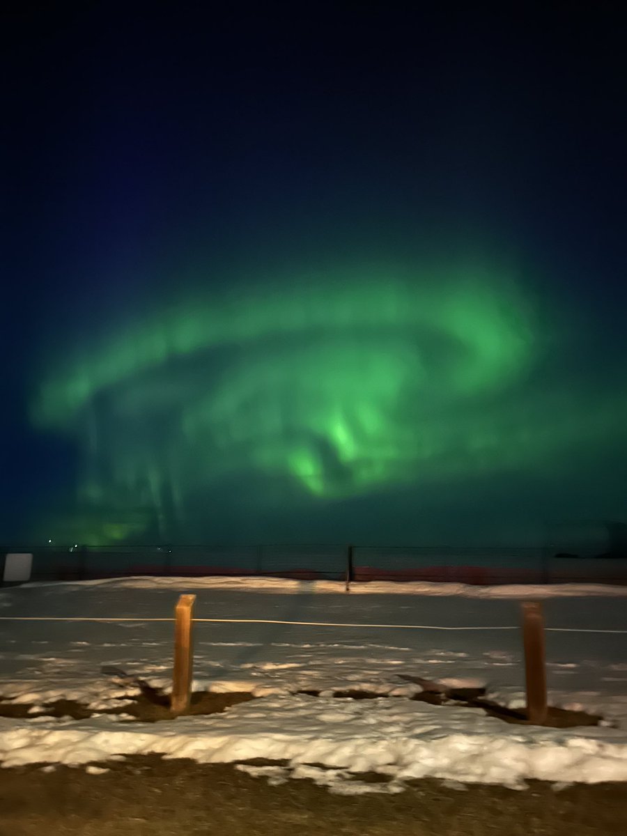 🤩 I’m often sad I moved away from Seattle, but sometimes being this far north has some silver linings… or should I say green.