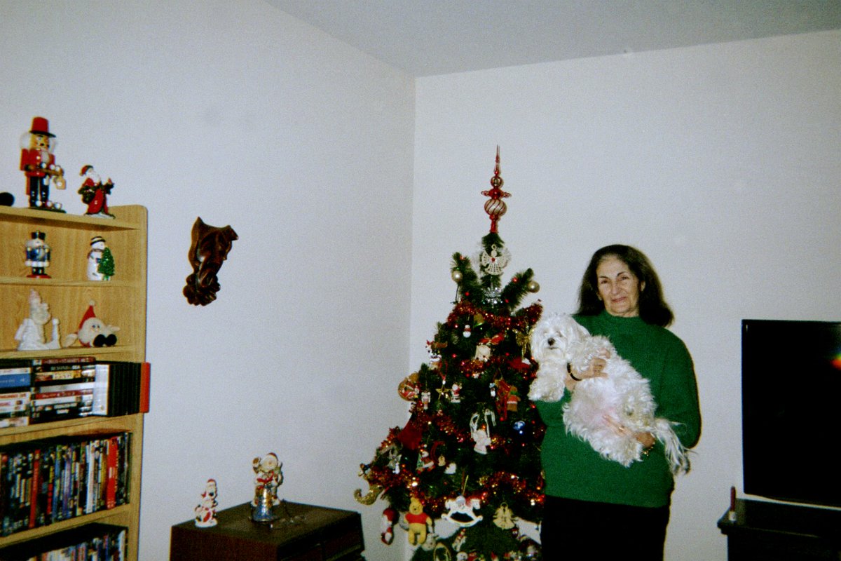GinaChrisMaria's tweet photo. Yesterday was National Puppy Day. I'll always miss my sweet little Rosy. I know she &amp; my mom are together forever now......#AngelsInHeaven https://t.co/ev1WYsqwR4