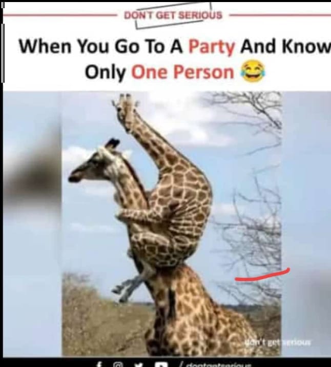 Dolait🏔 tweet media